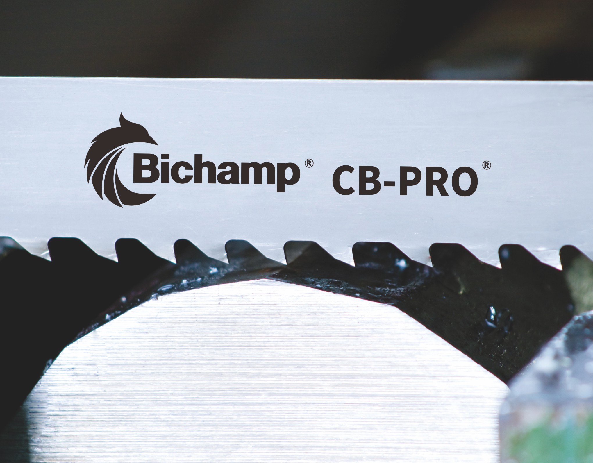 CB-PRO_Bichamp